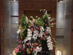 -浅深Cheersum(曹杨店)