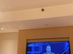-广州白天鹅宾馆