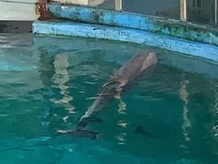 -苏州海洋馆