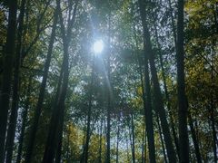 -天目湖涵田度假村