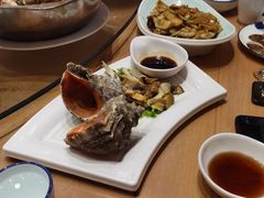 姜汁螺片-映像威海·海鲜味道(经区店)