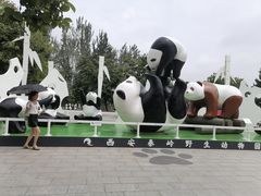 -西安秦岭野生动物园