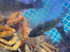 -77号渔船·蒸海鲜青岛菜(积米崖店)