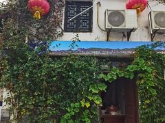 -后柳水乡