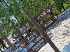 -阳台山自然风景区