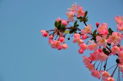 -玄武湖景区-情侣园游乐场