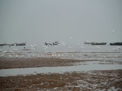 -小皓村