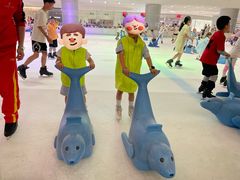 -TheRink大零溜冰场(IFS国金中心店)