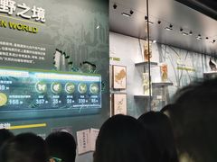 -四川大学博物馆