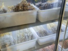 -十里铺铁板鱿鱼