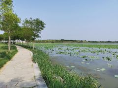 -天津东丽湖风景区