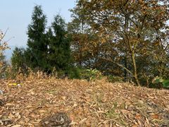 -金堂县云顶石城风景区