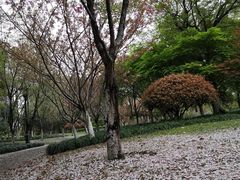 -杭州城北体育公园