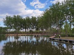 -东郊湿地公园