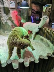 -宝燕乐园(闵行旗舰店)