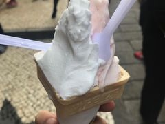 -柠檬车露(卖草地店)