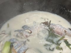 -鲜潭蒸汽石锅鱼(五道口购物中心店)