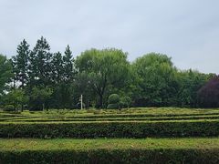 -洛阳市隋唐城遗址植物园