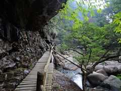 -祁门牯牛降观音堂风景区