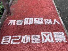 -海南铜鼓岭景区