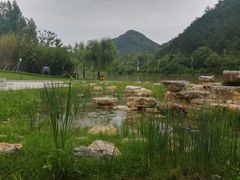 -新安江山水画廊风景区