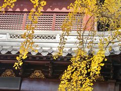 -上海白云观