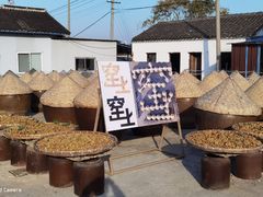 -苏州市吴中区光福窑上花果蜜饯厂