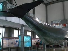 -上海海洋大学(临港校区)