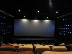 -深影国际影城(学院南路店CGS中国巨幕店)