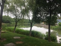 -尚贤河湿地