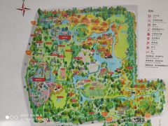 -上海共青森林公园