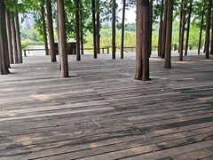 -柳树湾风景区
