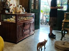 -The Flowers Coffee(南山店)