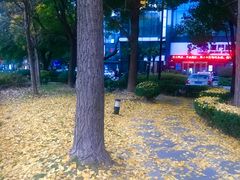 -海上海弘基休闲广场