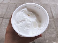 -洪馨椰子