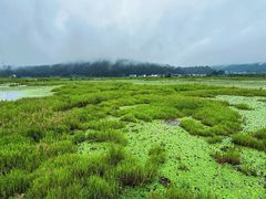 -腾冲北海湿地