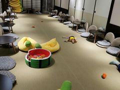 -逗柴咖啡屋·狗咖猫咖宠物桌游