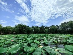 -承德避暑山庄景区