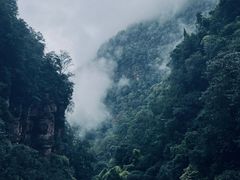 -赤水丹霞旅游区·佛光岩