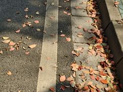 -南京农业大学（卫岗校区）-图书馆