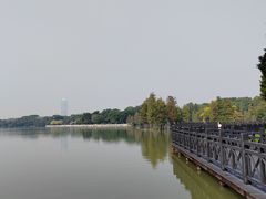 -海珠湖公园