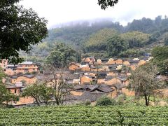 -杨家堂村