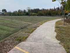 -歌斐颂巧克力小镇