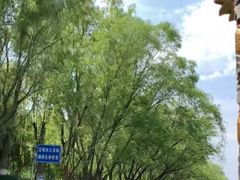 -皇家御河游(紫御湾码头)