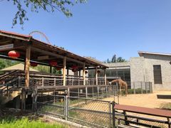 -石家庄市动物园