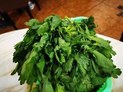 -同顺鹅庄(南华路店)