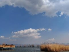 -洱海月湿地公园