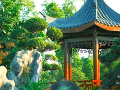 -东莞植物园