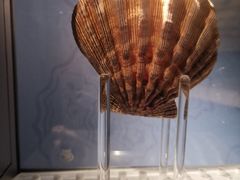 -中国湿地博物馆