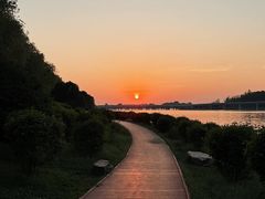 -丁香湖公园
